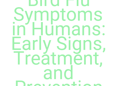 imagesbird flu symptoms in humans early signs treatment and prevention