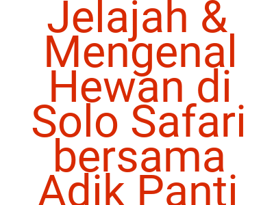 Imagesjelajah Mengenal Hewan Di Solo Safari Bersama Adik Panti